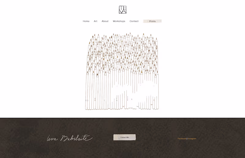 Cover image for Artist Squarespace Website & Webshop Design