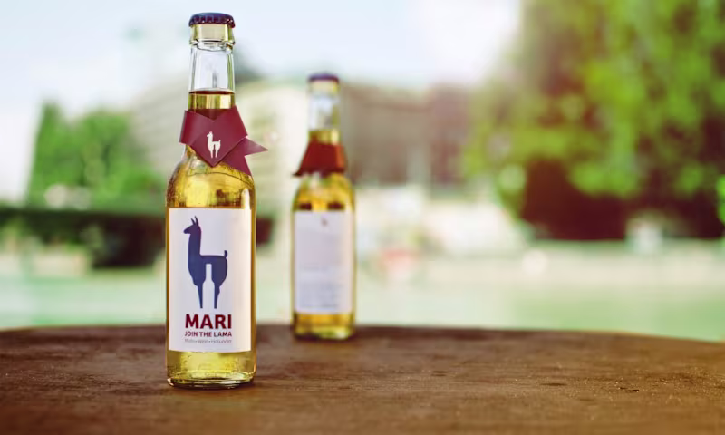 Cover image for Mari Brand Development and Marketing