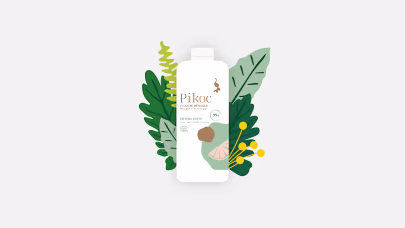 Cover image for Pikoc, Ulule Campaign