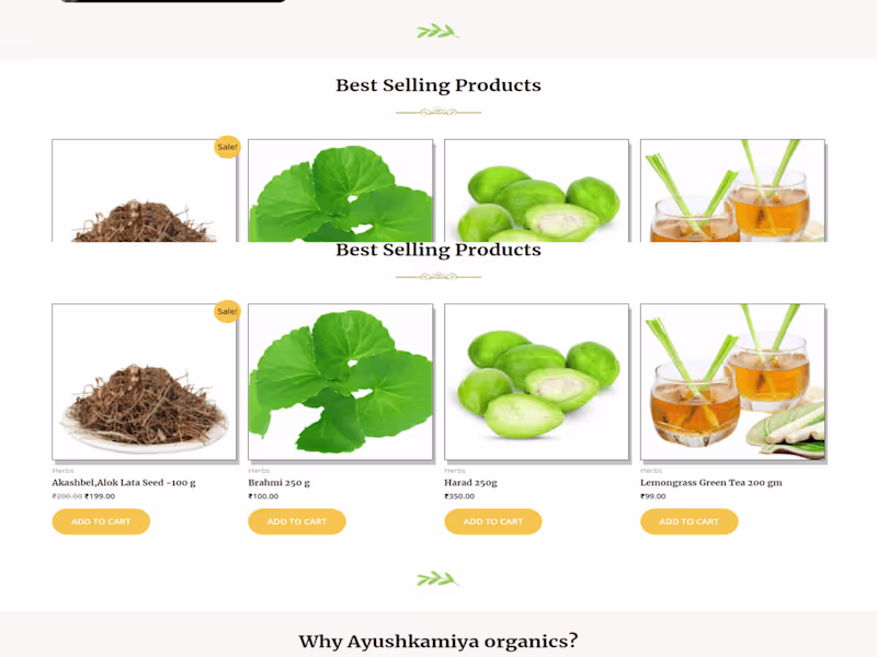 Cover image for Professional E-Commerce Websites with Custom Front-End Design