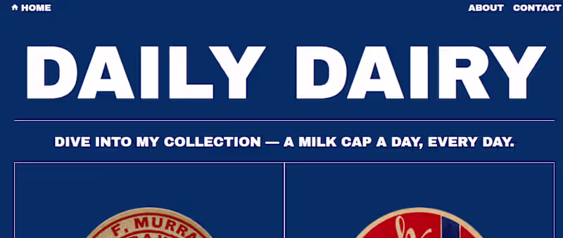 Cover image for Daily Diary