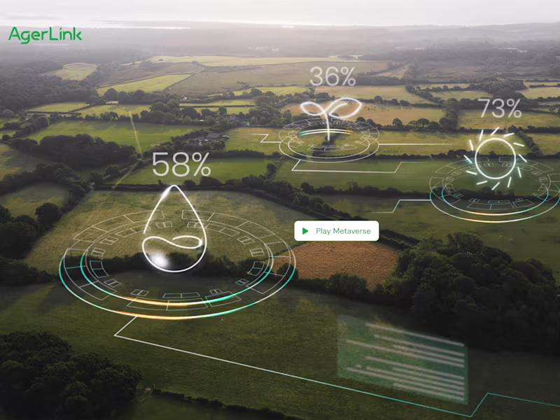 Cover image for Ager Link (Transforming the Agri-Food Sector)