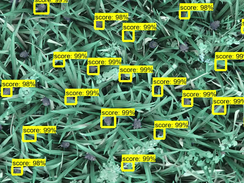 Cover image for Empowering Pineapple Farmers through Drone Imagery Analysis