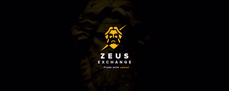 Cover image for Brand Identity Design - Zeus Exchange