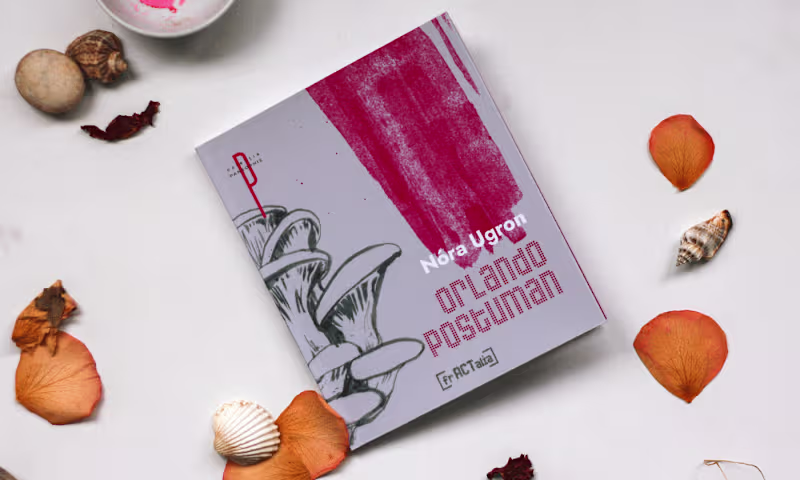 Cover image for Cover&Illustrations for Orlando Postuman