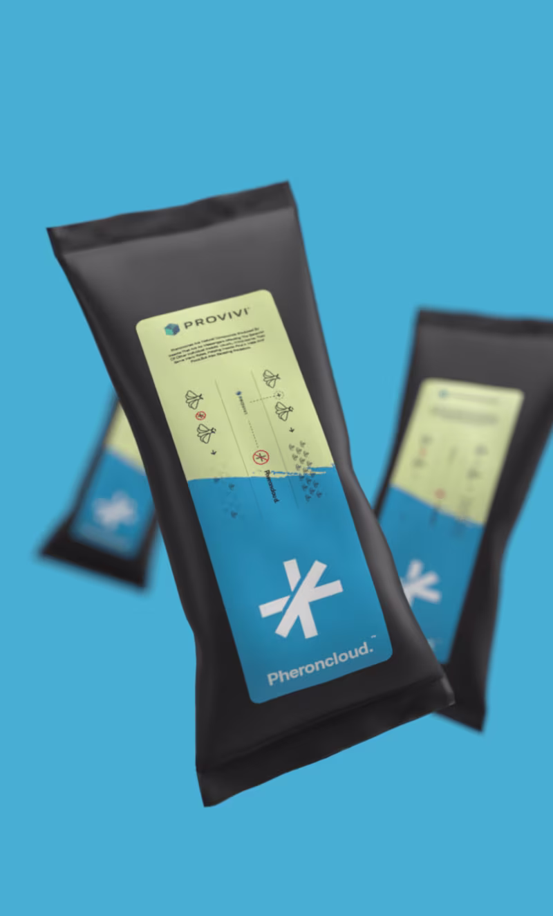 Cover image for identity & packaging