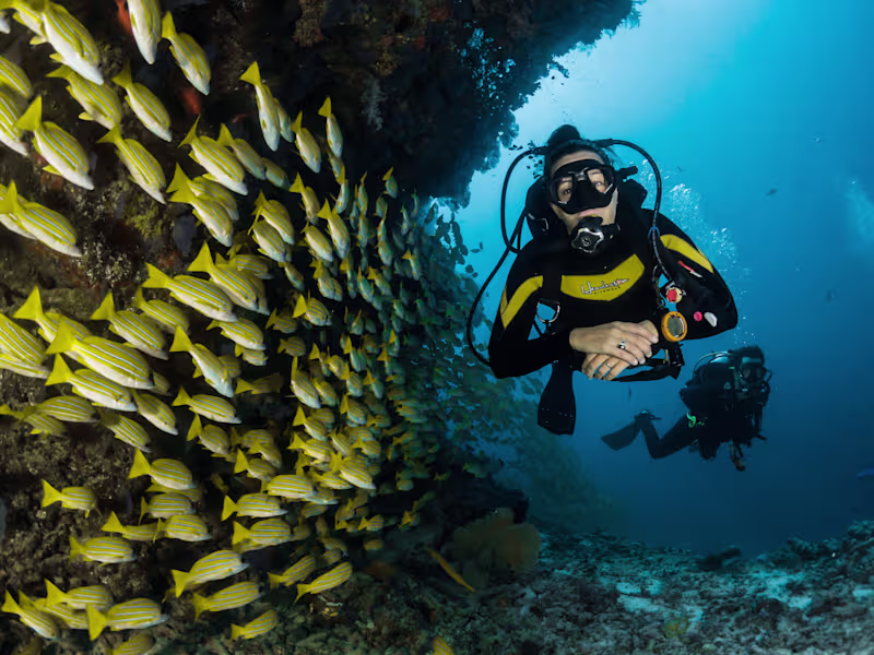 Cover image for Breathe | The smarter scuba dive log