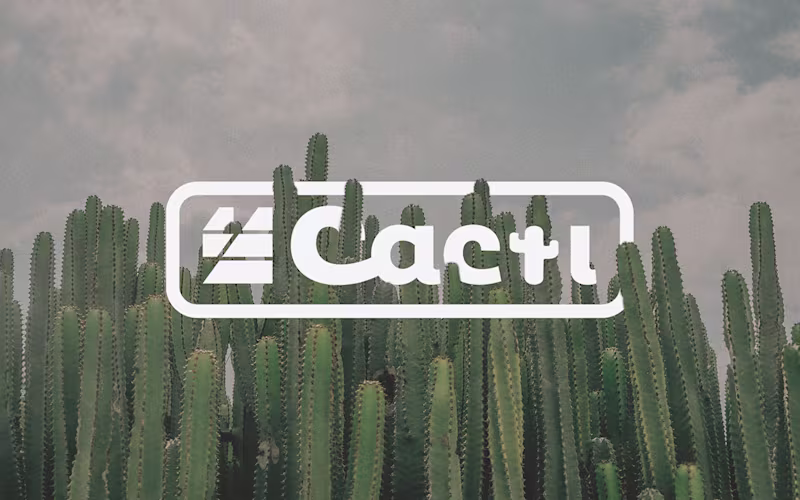 Cover image for Cacti Creative Co. Brand Identity on Behance