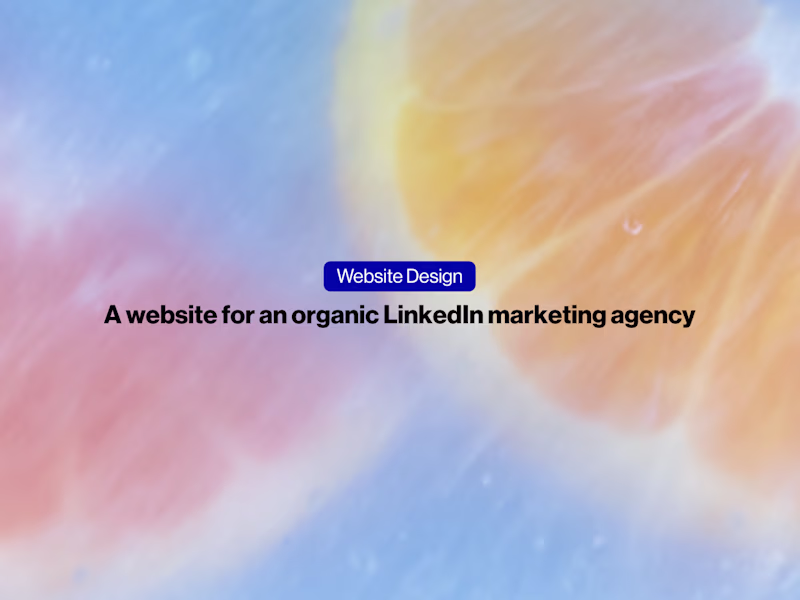 Cover image for Spectamur WordPress Website Design + Copywriting 