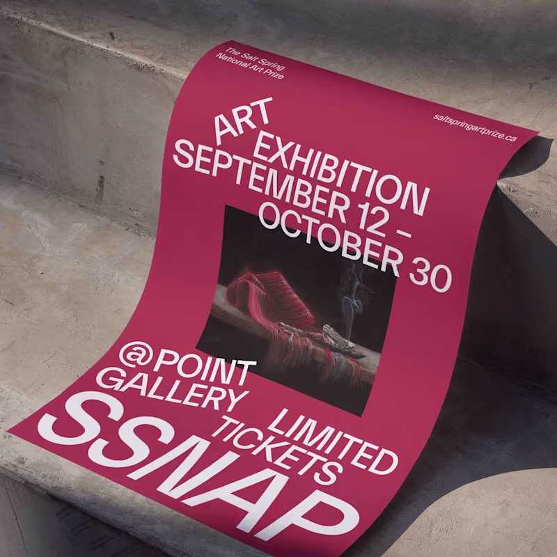 Cover image for The Salt Spring National Art Prize | Brand & Website