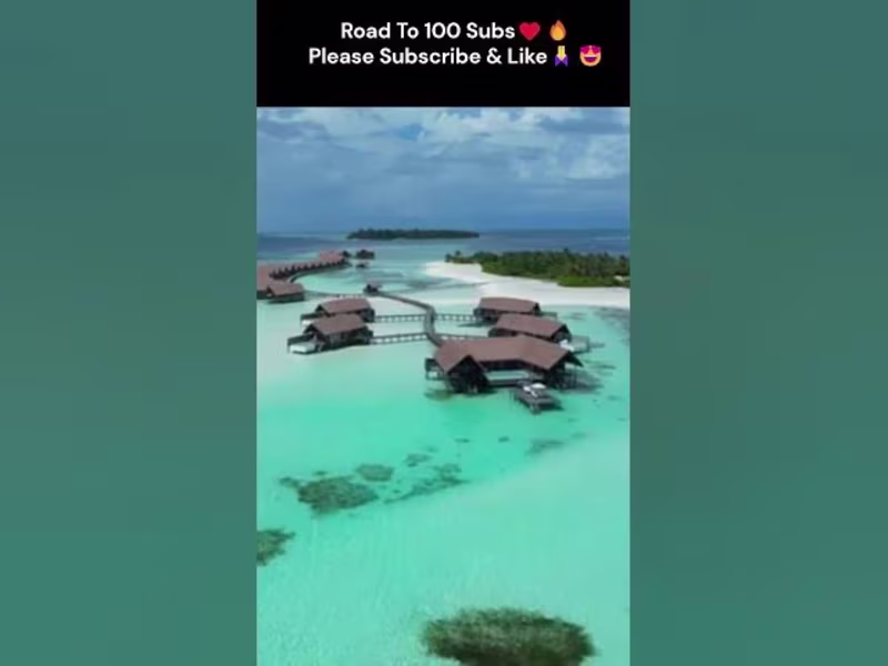 Cover image for  - YouTube