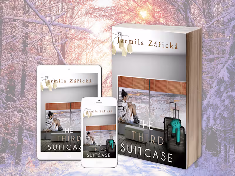 Cover image for The Third Suitcase