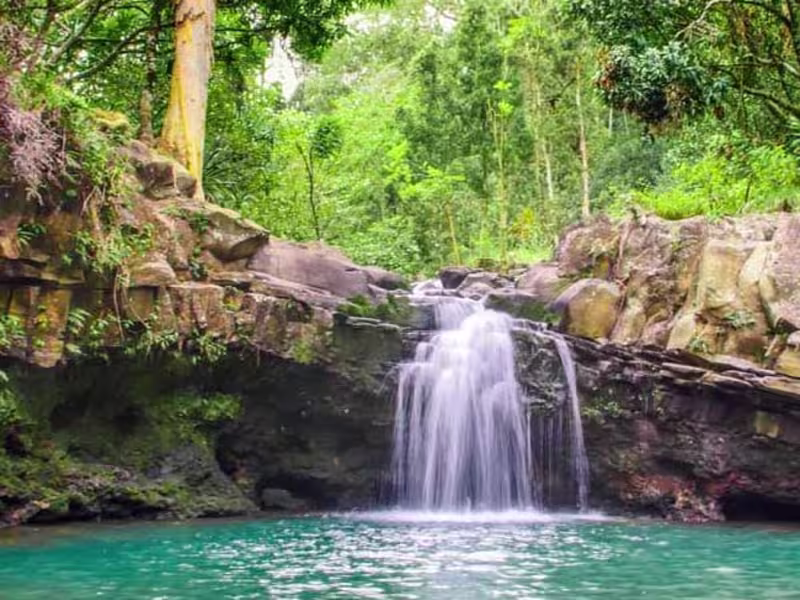 Cover image for Hawaii: Maui Rainforests