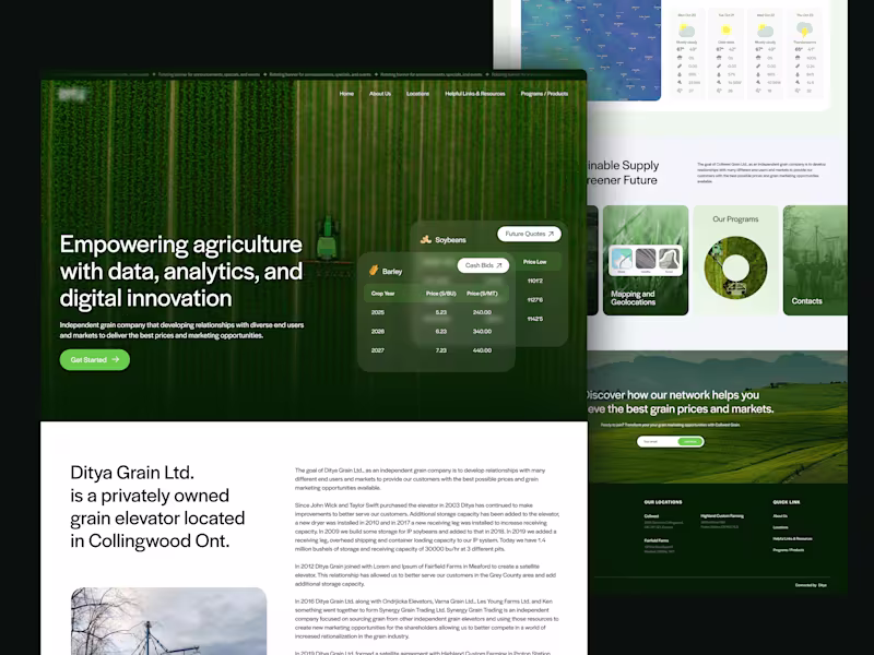 Cover image for Agriculture Website Design