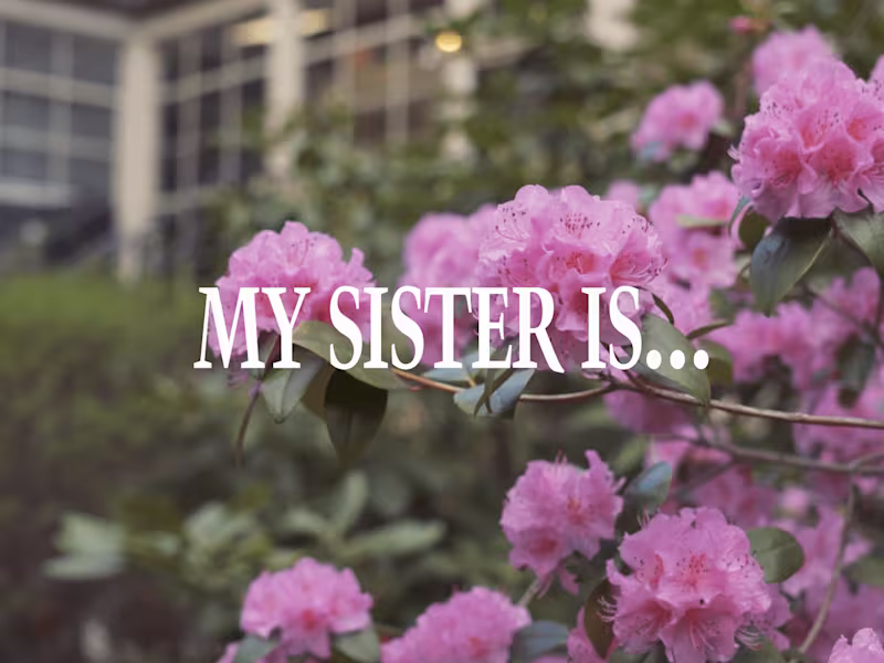 Cover image for My Sister Is...