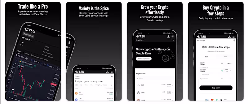 Cover image for BIT.EU (http://BIT.EU) is a cutting-edge