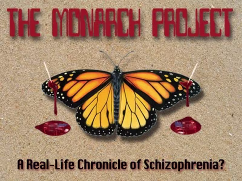 Cover image for Screenplay Consult: Monarch Project