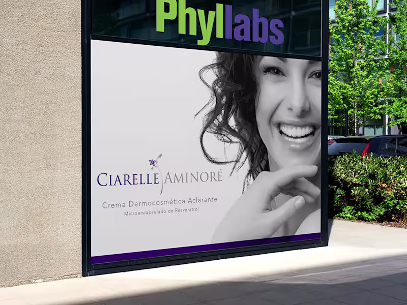 Cover image for Building Phyllabs’ Brand Identity: From Vision to Visual Impact