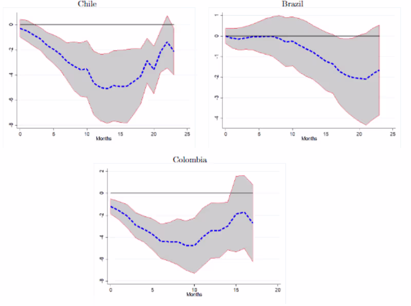 Cover image for  The Effect of Commodity Shocks on Developing Economies