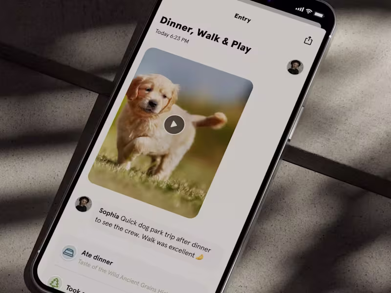 Cover image for Harper • Design, brand, and product for dog owner app