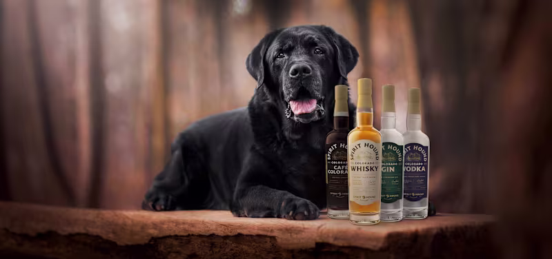Cover image for Spirit Hound Distillers - Brand Collateral + Website Redesign
