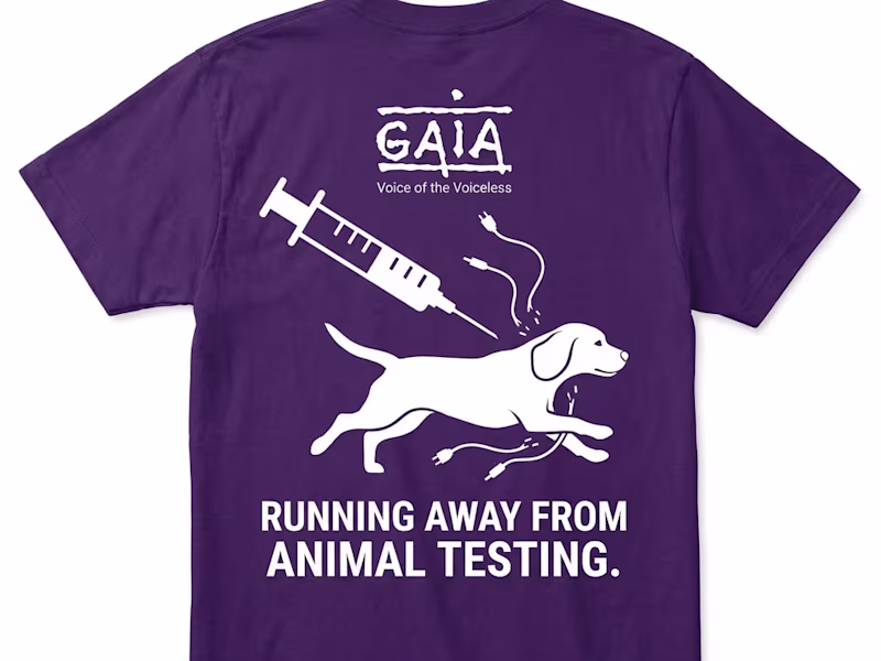 Cover image for These are t-shirt designs for