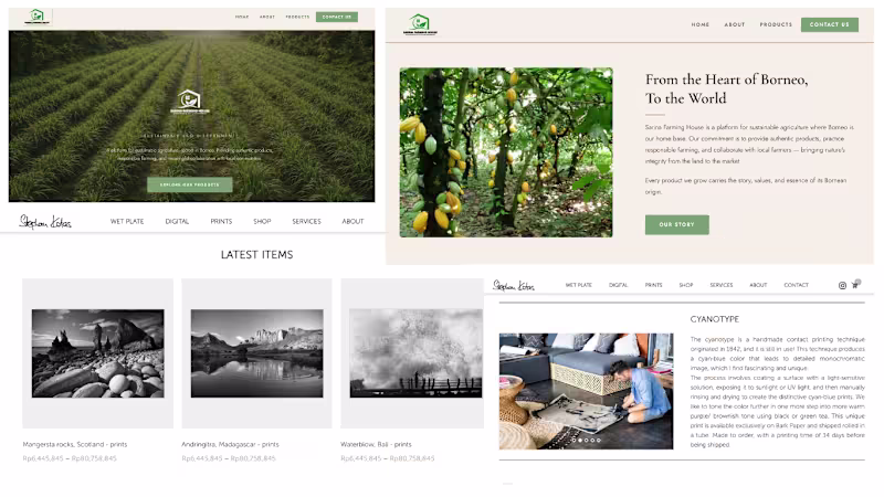 Cover image for Website Design & Development 