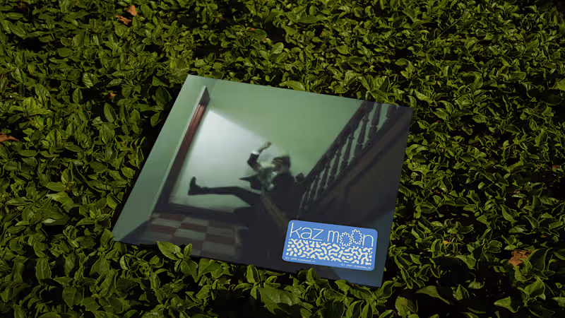 Cover image for kaz moon