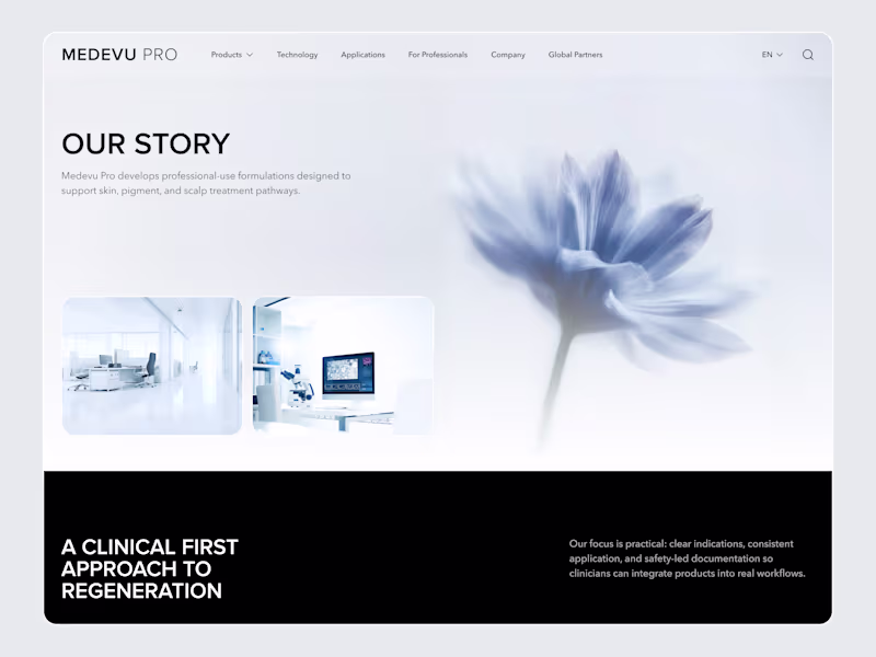 Cover image for Designed a clean, professional website