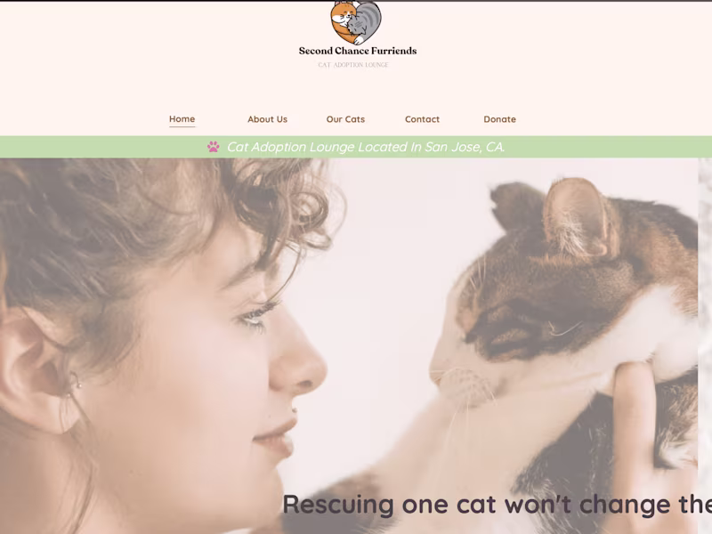 Cover image for Second Chance Furriends