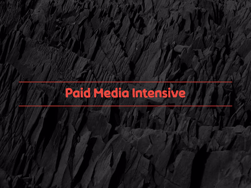 Cover image for Paid Media Intensive