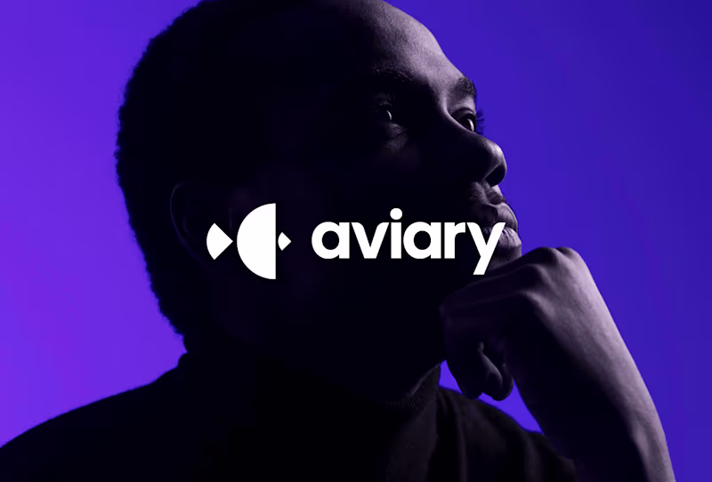 Cover image for Aviary Analytics - Branding