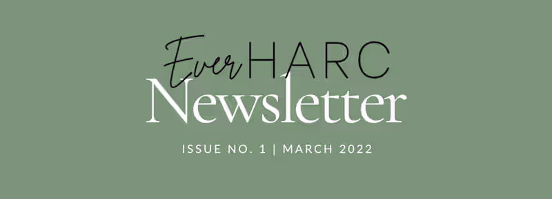 Cover image for Blog Newsletter