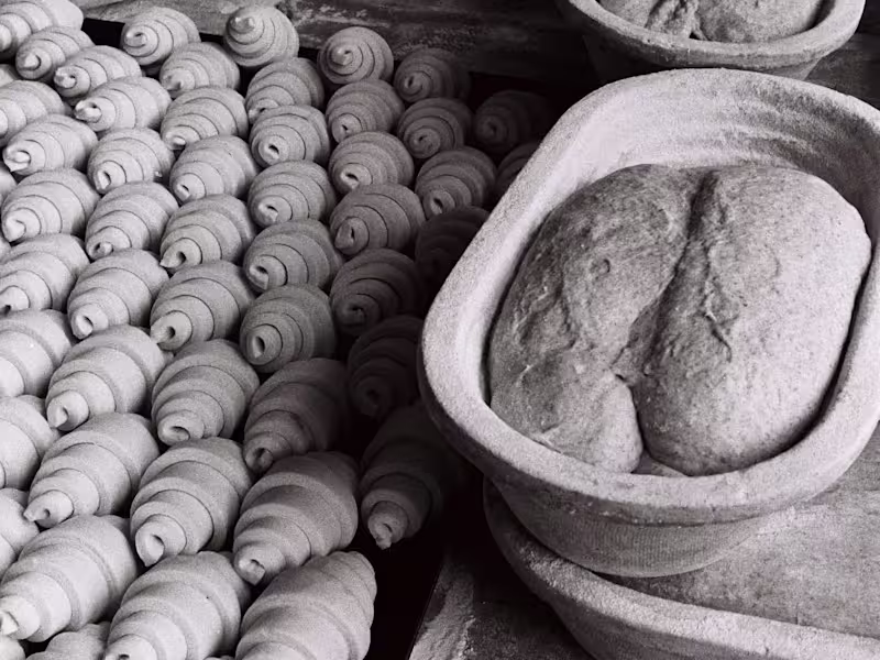 Cover image for Dou Dou Bake - Copywriting and Photography
