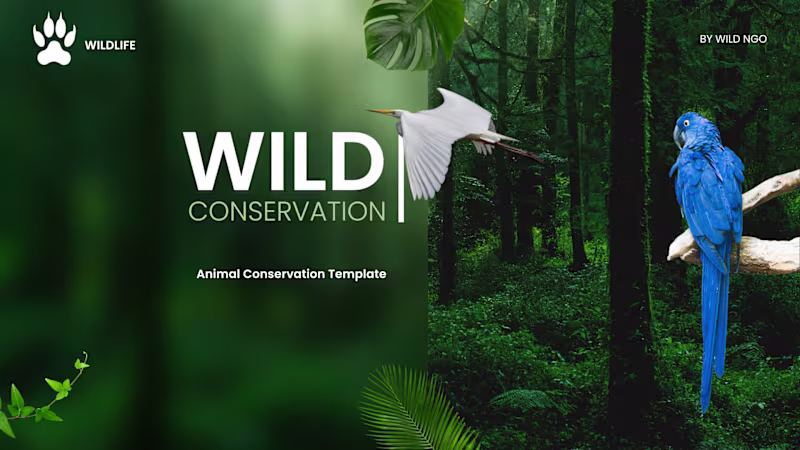 Cover image for Presentation Design