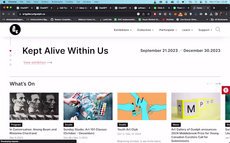 Cover image for Custom WordPress Solutions