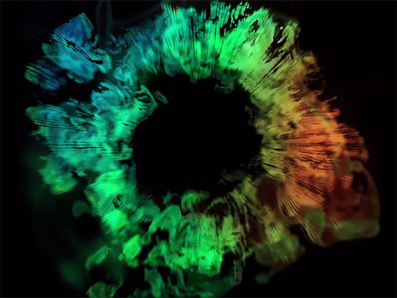 Cover image for Video & Motion Portfolio
