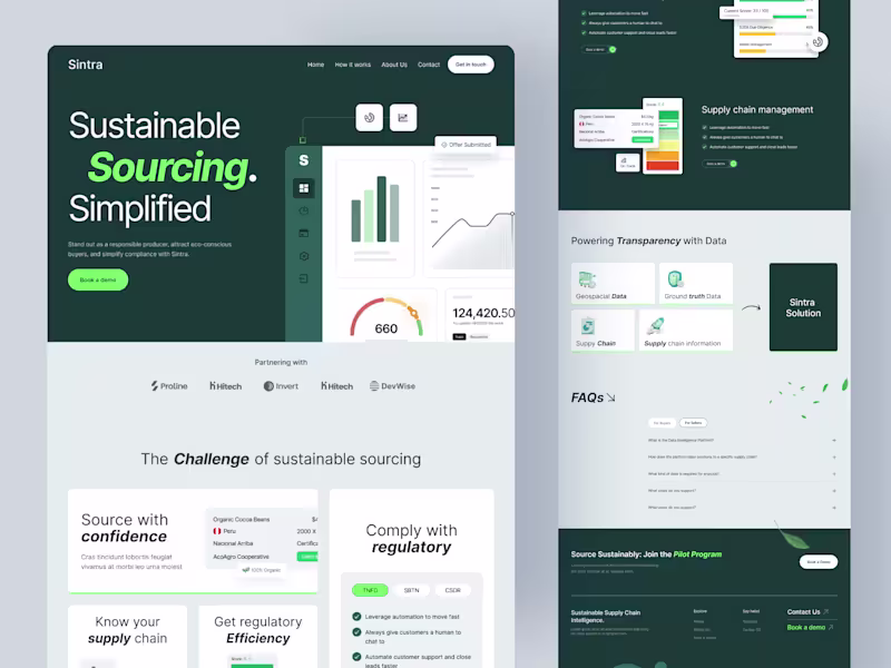 Cover image for Sintra Website Design and Development