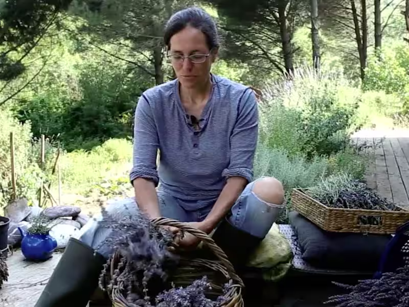 Cover image for Farm to Table: A Documentary Series