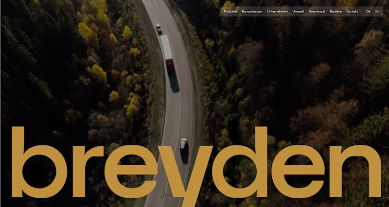 Cover image for Breyden