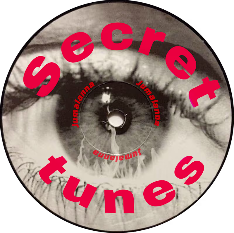 Cover image for Web Design for Secret Tunes