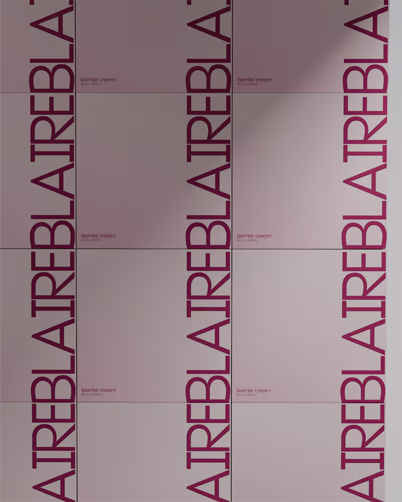Cover image for BLAIRE Part 3.
A closer look