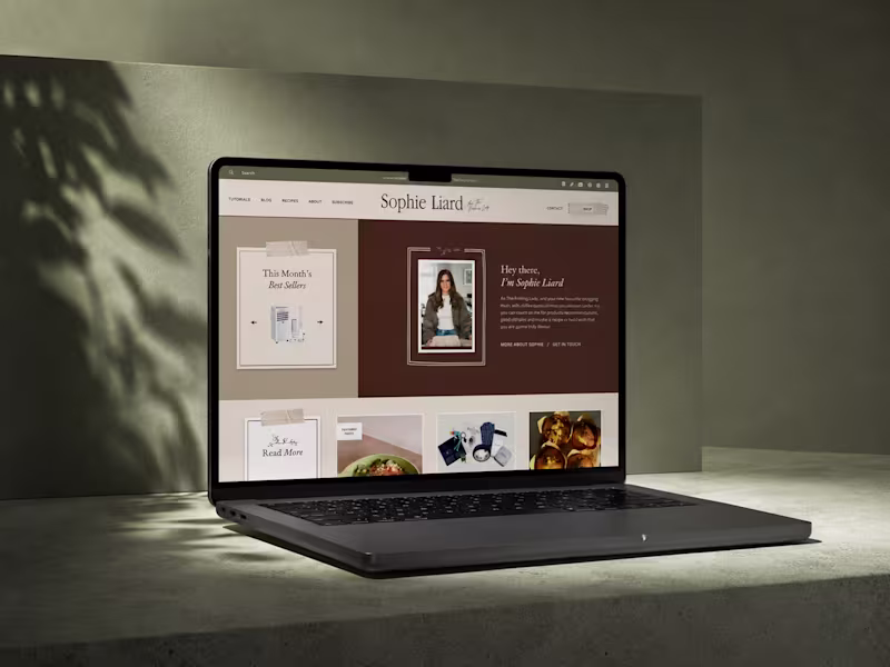 Cover image for Mailchimp Strategy and Training for The Folding Lady