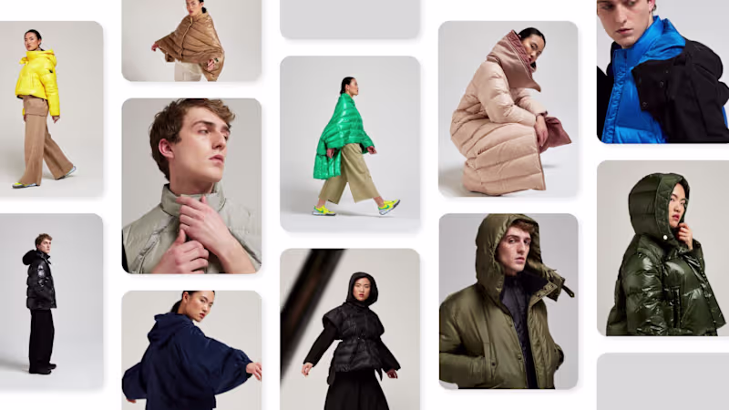 Cover image for Anitroc - Art Direction and Website