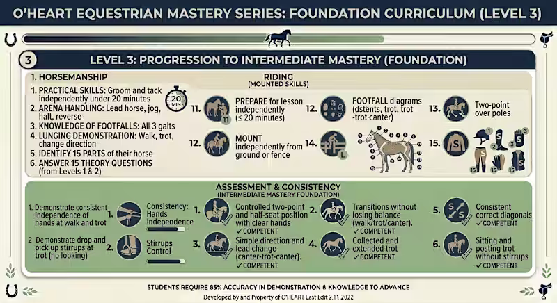 Cover image for Developed a comprehensive, multi-level framework