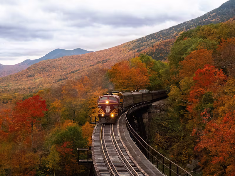 Cover image for Full-Stack Web Application for Transport Canada