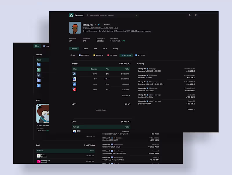 Cover image for Lamina – NFT Portfolio Dashboard Development