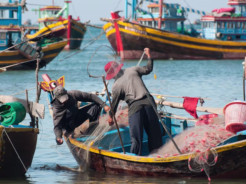 Cover image for Asian Seafood Improvement Collaborative