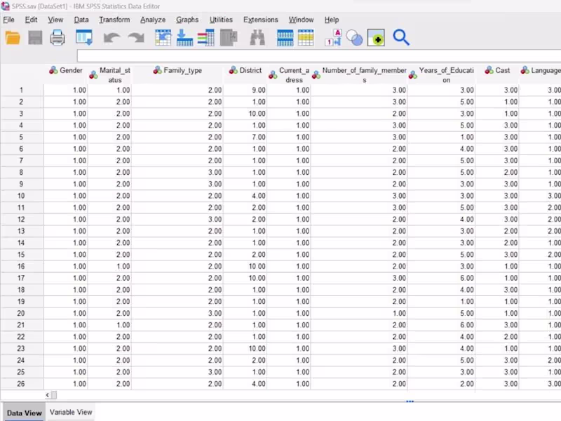 Cover image for SPSS Data Analysis Support Project