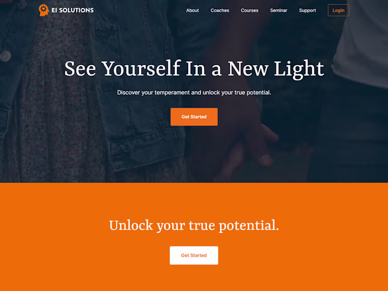 Cover image for EI Solutions
